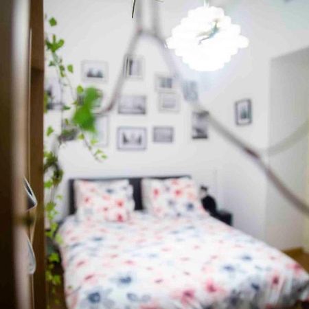 Fred'S Home Guest Room, Vieuxport, Climatise, Friendly Marseille Bagian luar foto