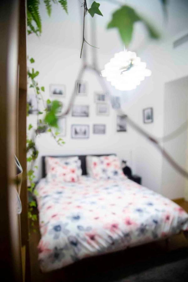 Fred'S Home Guest Room, Vieuxport, Climatise, Friendly Marseille Bagian luar foto